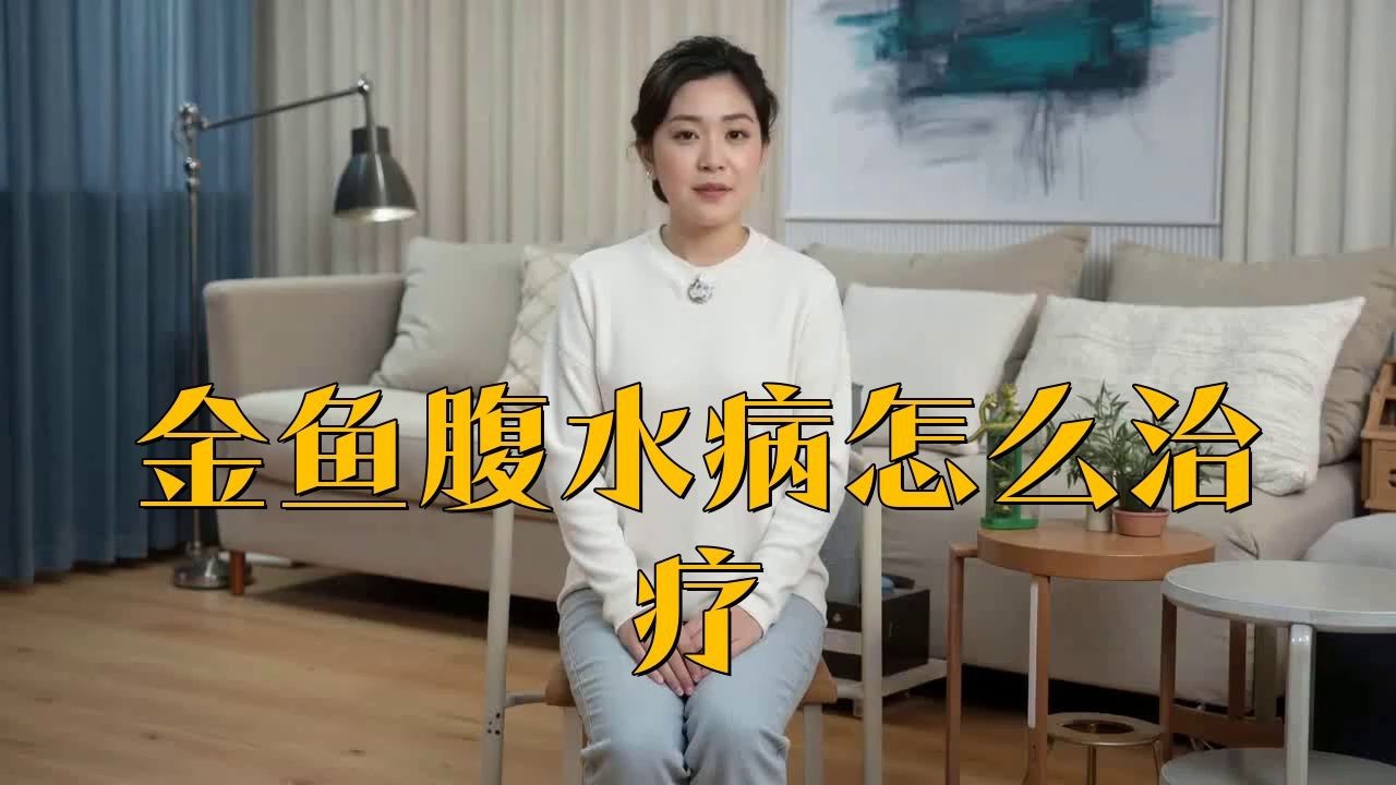 如何判斷魚腹水是否嚴重？【奶兔球球腹水初期癥狀與治療觀賞魚腹水初期癥狀與治療】