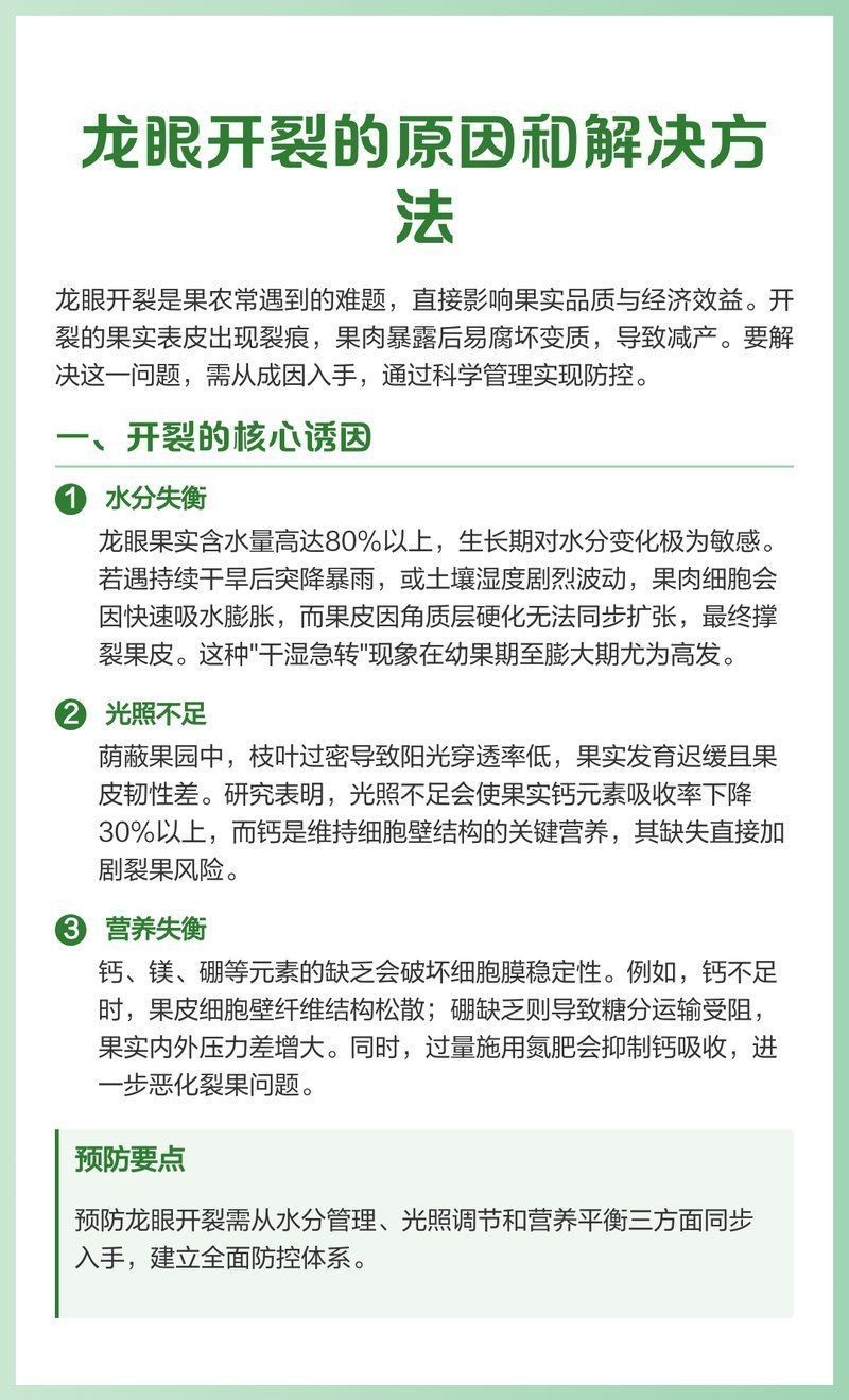 龍眼爛尾最忌三種東西【荔枝龍眼主要病害蟲有哪些】