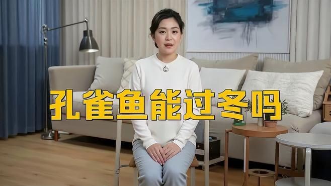 冷水孔雀魚凍不死【冷水孔雀魚在10度的水里會凍死嗎揭秘它們的生存智慧】