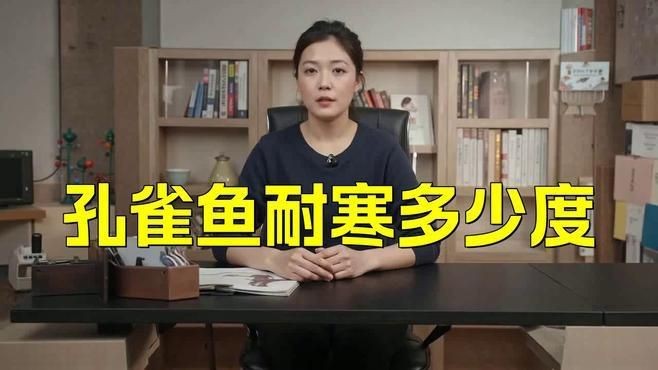 冷水孔雀魚凍不死【冷水孔雀魚在10度的水里會凍死嗎揭秘它們的生存智慧】