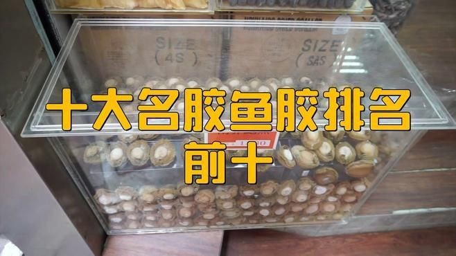 世界十大頂級(jí)魚(yú)膠