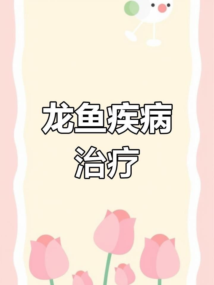 如何判斷紅龍魚健康【判斷紅龍魚是否健康可從多方面入手】
