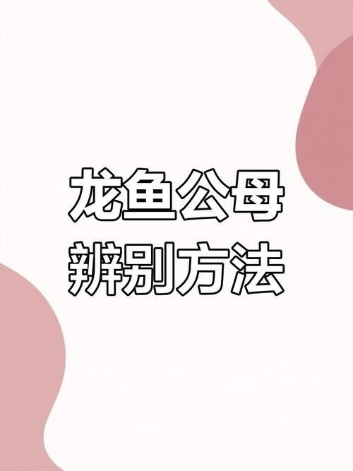金龍魚公母怎么分圖片【金龍魚公母的區(qū)分在外觀上有一定特點】 金龍魚公母怎么分圖片【金龍魚公母的區(qū)分在外觀上有一定特點】 龍魚百科 第17張