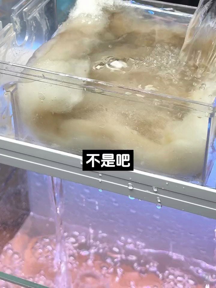 龍魚(yú)缸不堵水最簡(jiǎn)單三個(gè)方法【龍魚(yú)缸如何保養(yǎng)？】