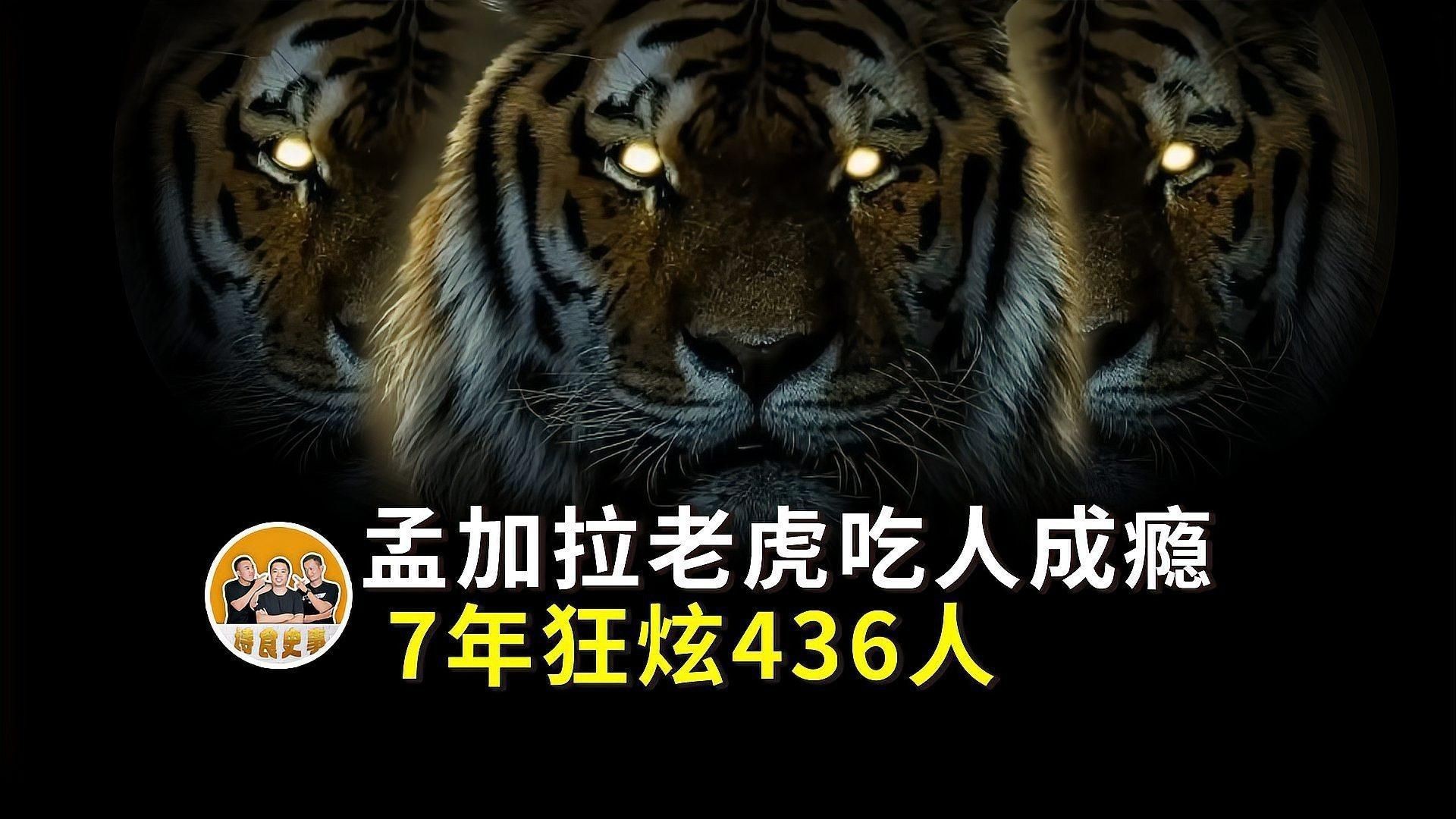 老虎吃人真實(shí)案例視頻【東北虎變“吃人虎”,爬樹咬死女工拖走尸體】