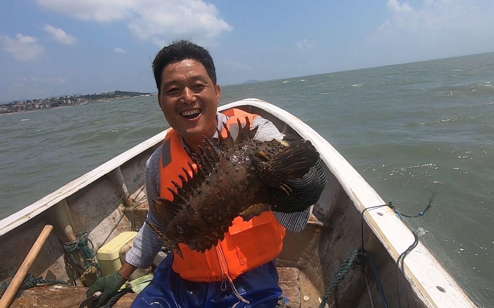 老虎魚貴不貴【老虎魚價格一般多少錢一斤】