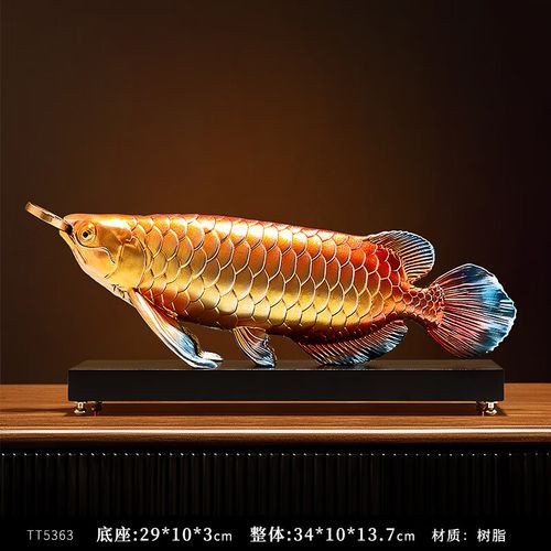 七彩金龍魚圖片【《七彩金龍魚的絢爛之美》】 龍魚論壇 第6張 七彩金龍魚圖片【《七彩金龍魚的絢爛之美》】 七彩金龍魚圖片【《七彩金龍魚的絢爛之美》】 龍魚論壇 第6張