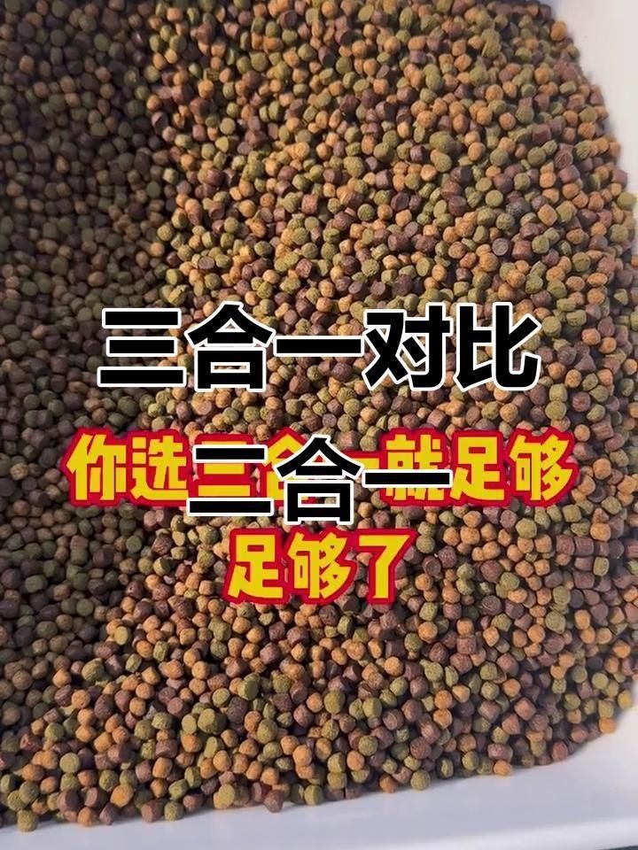 錦鯉飼料最好三個牌子【#錦鯉飼料最好三個牌子摘要，優質飼料對錦鯉生長發育、體色增艷至關重要】