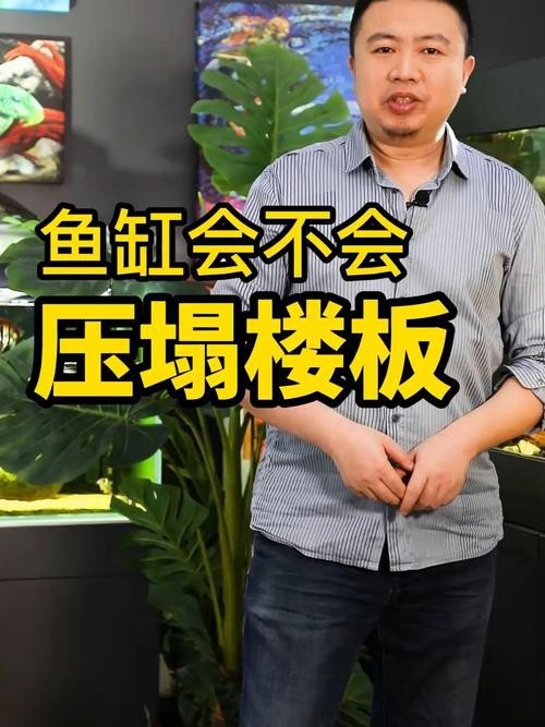1.2米魚缸壓塌樓房圖片【1.2米魚缸壓塌樓房驚人事件背后的警示】