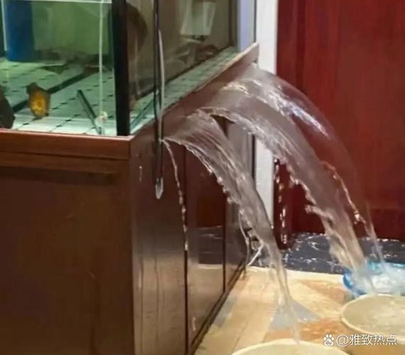 1.2米魚缸壓塌樓房圖片【1.2米魚缸壓塌樓房驚人事件背后的警示】