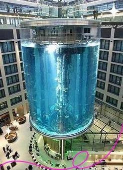 1.2米魚缸壓塌樓房圖片【1.2米魚缸壓塌樓房驚人事件背后的警示】