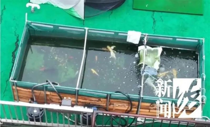1.2米魚缸壓塌樓房圖片【1.2米魚缸壓塌樓房驚人事件背后的警示】
