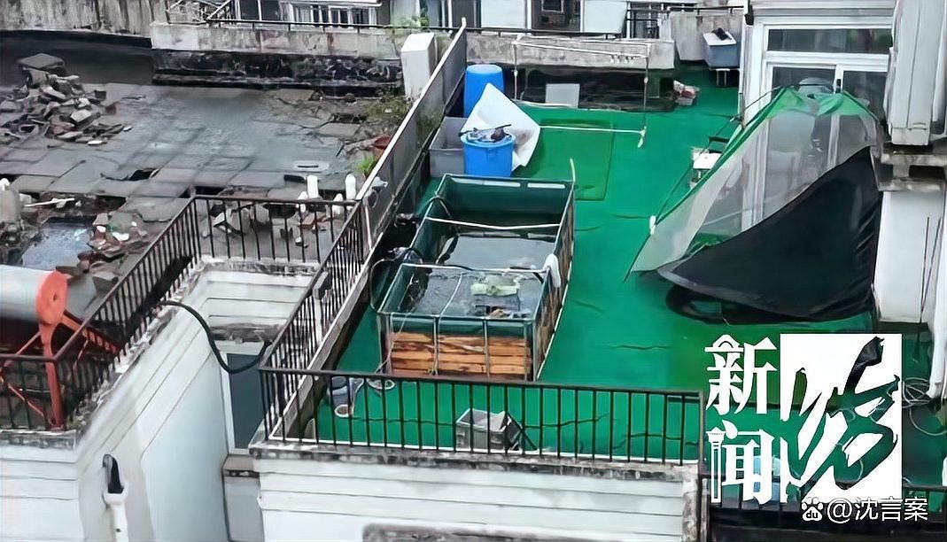 1.2米魚缸壓塌樓房圖片【1.2米魚缸壓塌樓房驚人事件背后的警示】