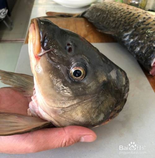 熗鯉魚家庭最簡單做法大全【家常熗鯉魚的三重奏：從入門到精通的味覺之旅，熗鯉魚的做法】