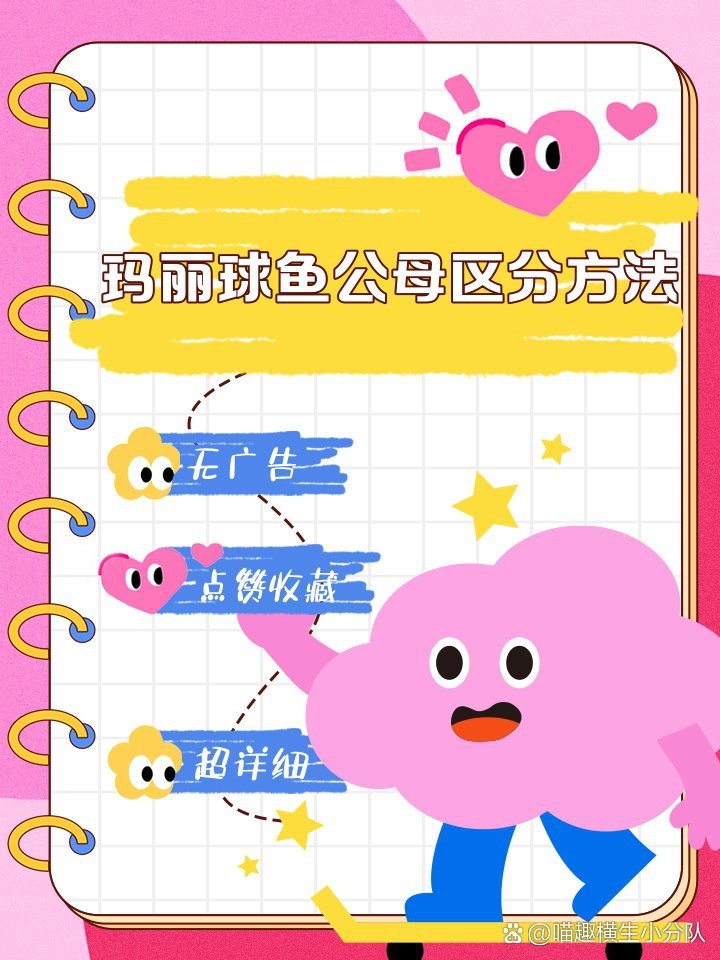 球魚長什么樣子圖片【《燕尾魚的外貌特征》**球魚的外貌特征】