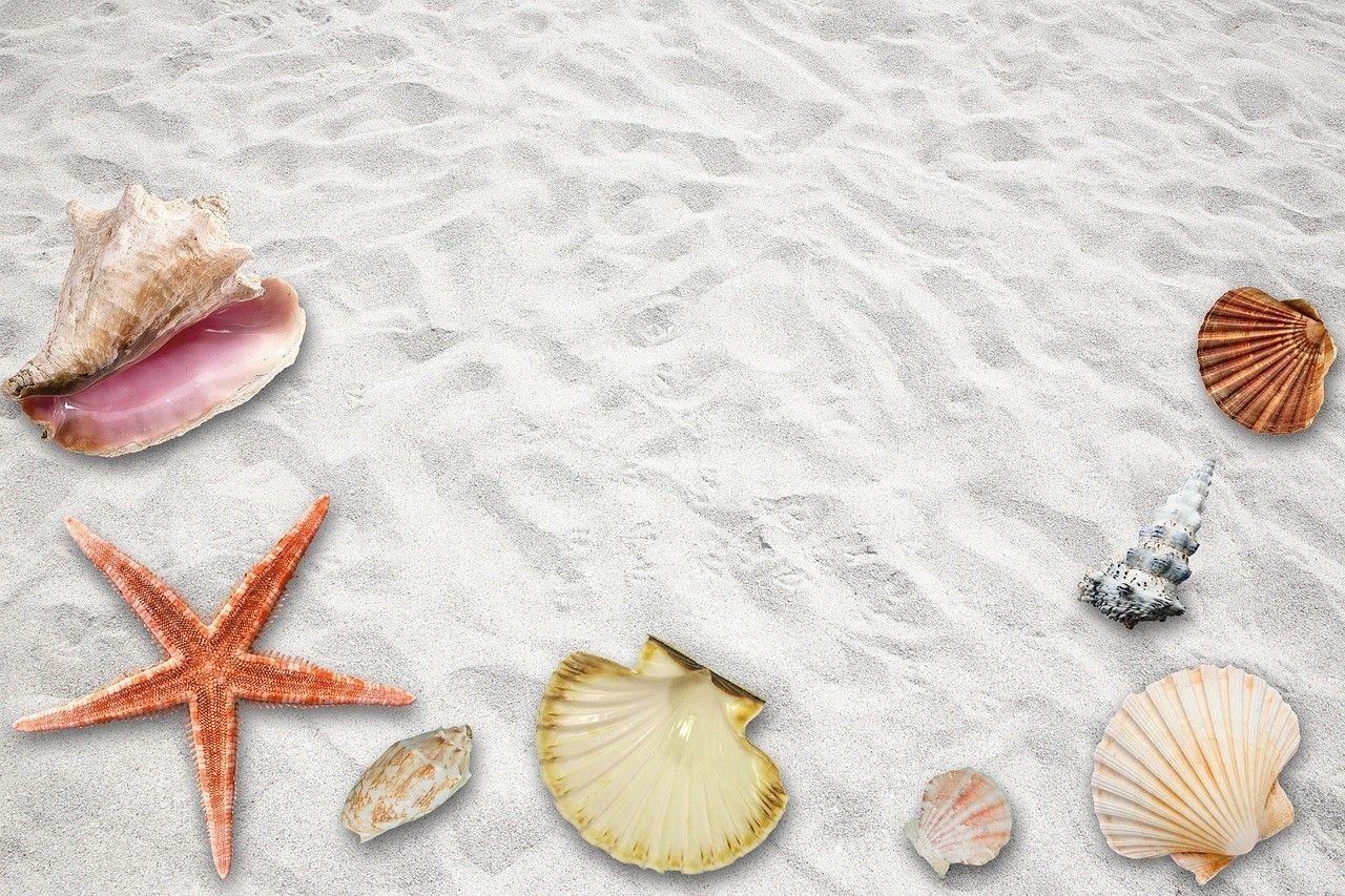 龍魚蒙眼后怎么恢復(fù)【龍魚蒙眼后如何進行水質(zhì)調(diào)整】