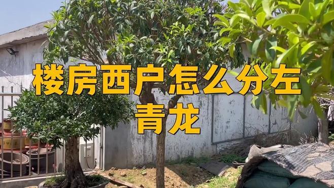 現(xiàn)代住宅如何應用左青龍風水？【現(xiàn)代住宅如何設置左青龍位？】