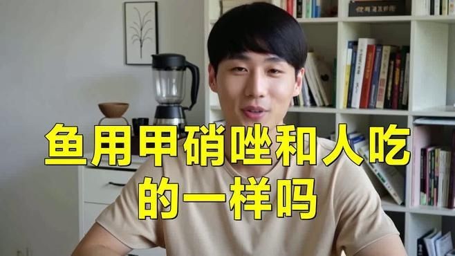 紅龍旗設計寓意【甲硝唑使用指南】