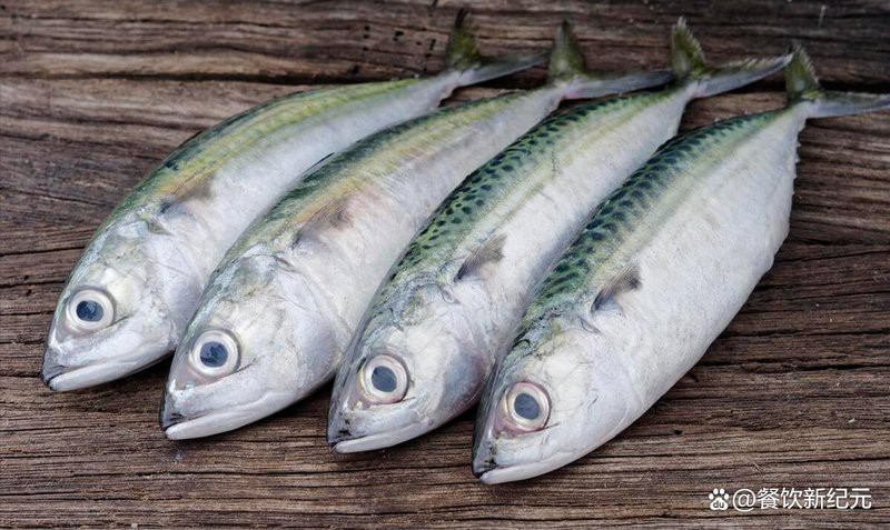 鯖魚為什么很多人不吃【\