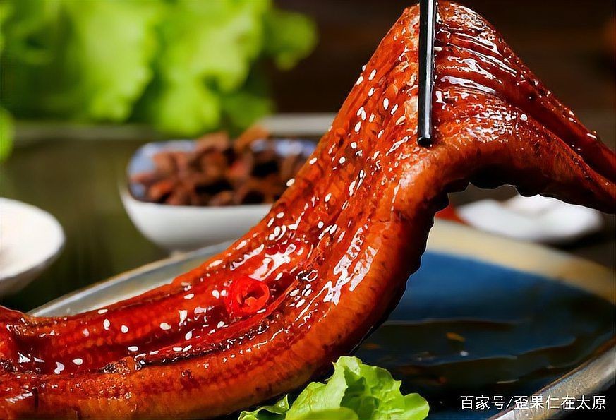 鰻鱗魚屬于什么檔次【40種“好吃不貴”的野生海魚(下),大海的美味】 鰻鱗魚屬于什么檔次【40種“好吃不貴”的野生海魚(下),大海的美味】 龍魚百科 第4張