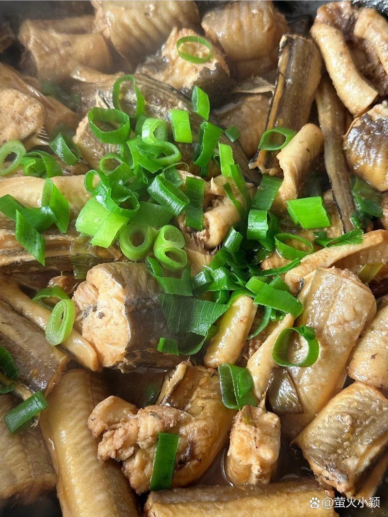 鰻鱗魚屬于什么檔次【40種“好吃不貴”的野生海魚(下),大海的美味】 鰻鱗魚屬于什么檔次【40種“好吃不貴”的野生海魚(下),大海的美味】 龍魚百科 第2張