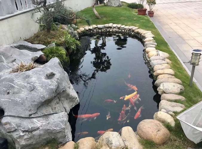 露天魚池設計圖片【13個適合自己diy的“庭院魚池”，網友：回家立馬開挖！】