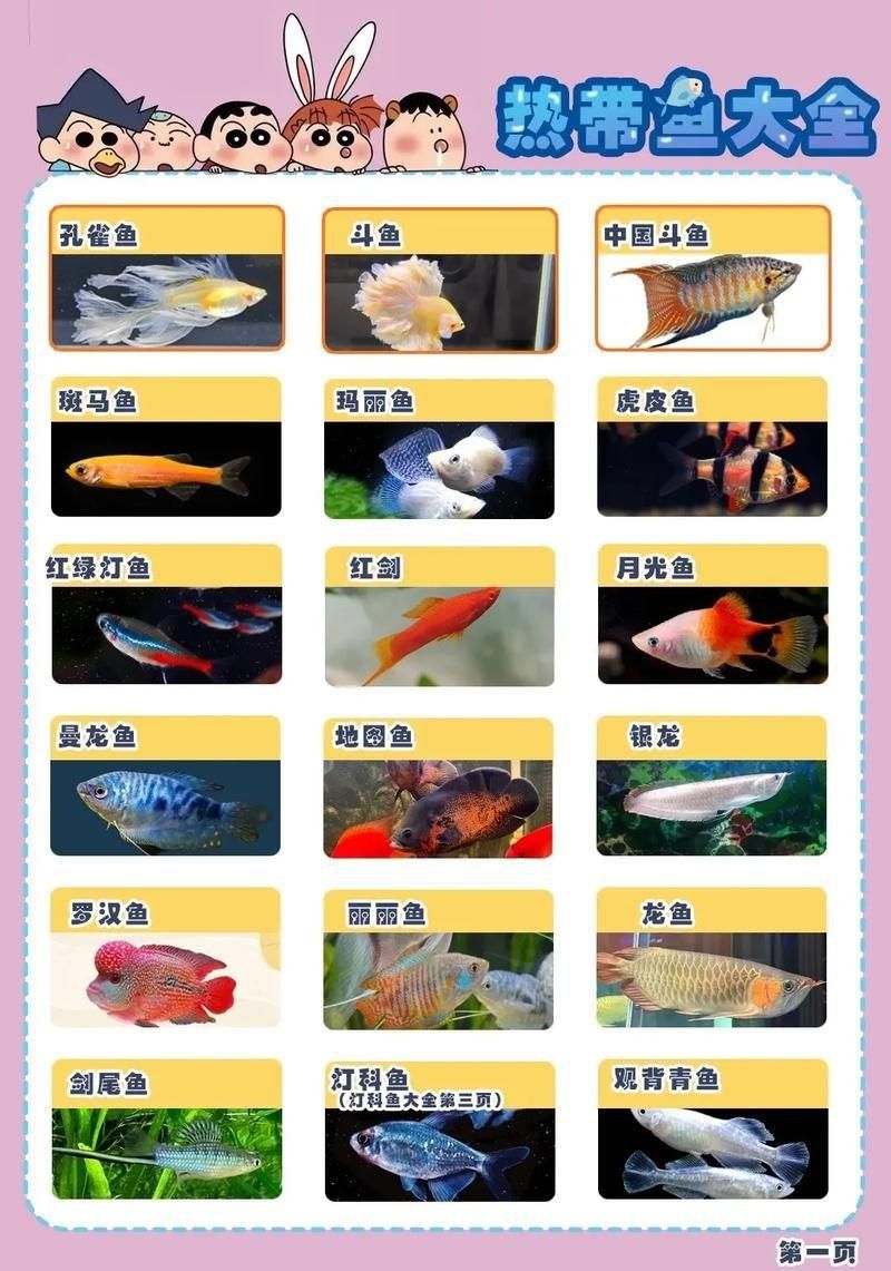 觀賞魚圖片大全大圖【有聲書:觀賞魚圖片大全】