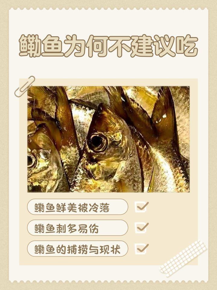 鰳魚為何不建議吃【《鰳魚為何不建議吃》】