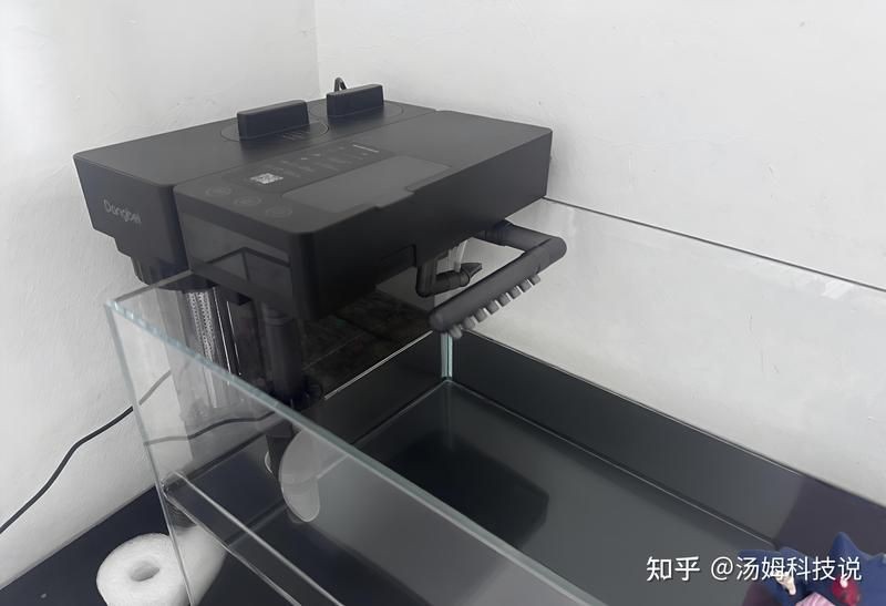 給我推薦幾款適合招財貓魚的過濾器【招財貓魚過濾器推薦】