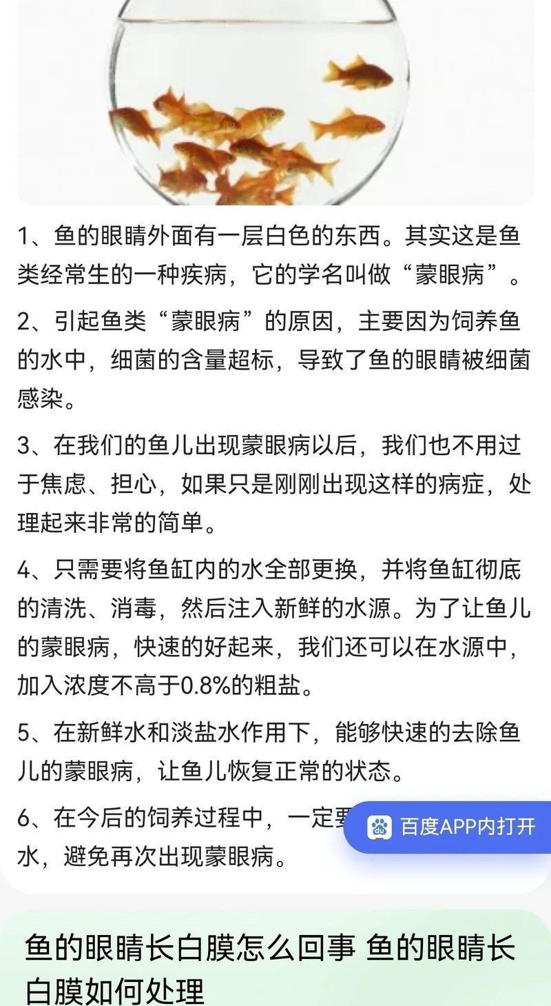 魚(yú)蒙眼期間需要喂食嗎？【橘媽的橘子是只喵】