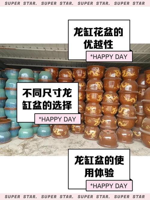 龍缸尺寸圖解【《龍缸尺寸圖解》詳細介紹了龍缸的各類尺寸相關內容】