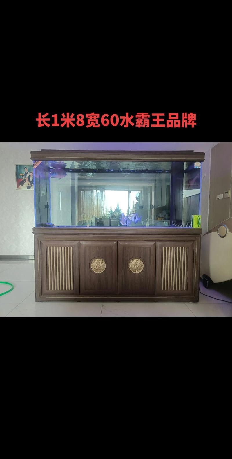 龍缸尺寸圖解【《龍缸尺寸圖解》詳細介紹了龍缸的各類尺寸相關內容】