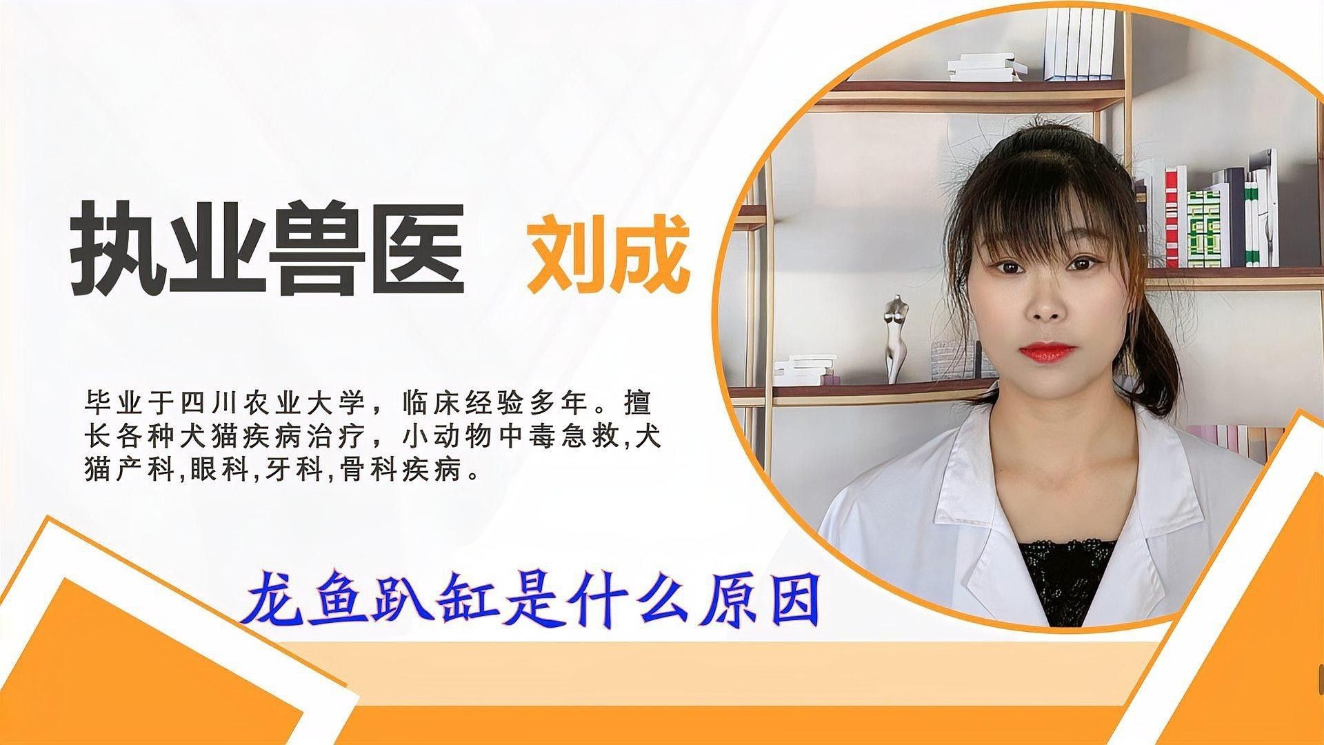 龍魚趴缸如何治療？【龍魚趴缸怎么辦】