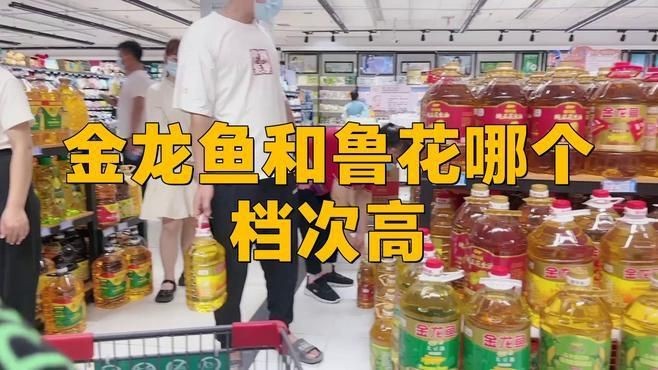 金龍魚與其他品牌比較【《金龍魚與其他品牌比較》】
