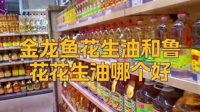 金龍魚與其他品牌比較【《金龍魚與其他品牌比較》】