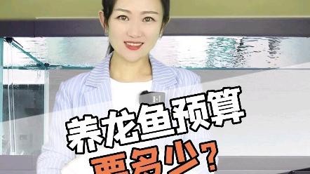 養龍魚需要哪些必備設備【20多萬的龍魚,魚缸里用的都是什么水族設備微博周魚龍庭】