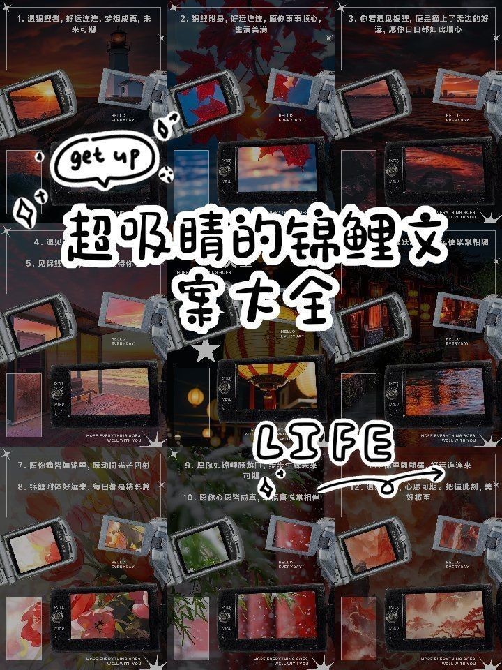 錦鯉最經(jīng)典的一句【錦鯉文化中最經(jīng)典的一句是什么？】