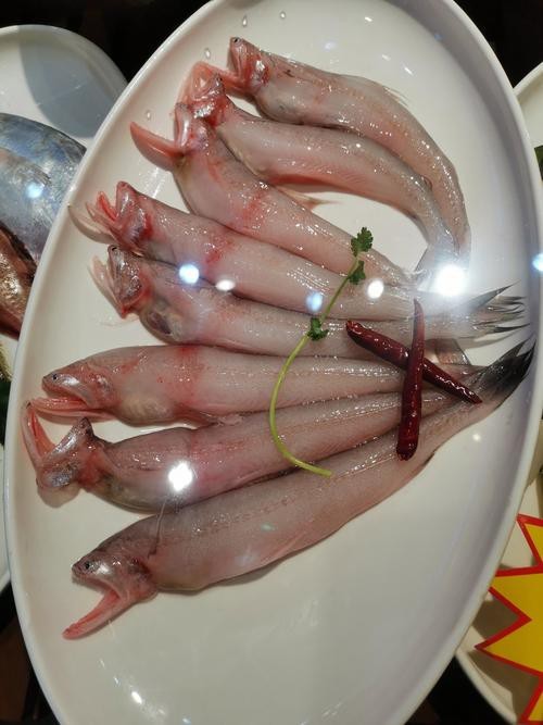 龍頭魚圖片【《探秘龍頭魚的奧秘星光點點龍頭魚的奧秘星光點點龍頭魚】