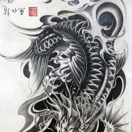 龍頭魚圖片【《探秘龍頭魚的奧秘星光點點龍頭魚的奧秘星光點點龍頭魚】