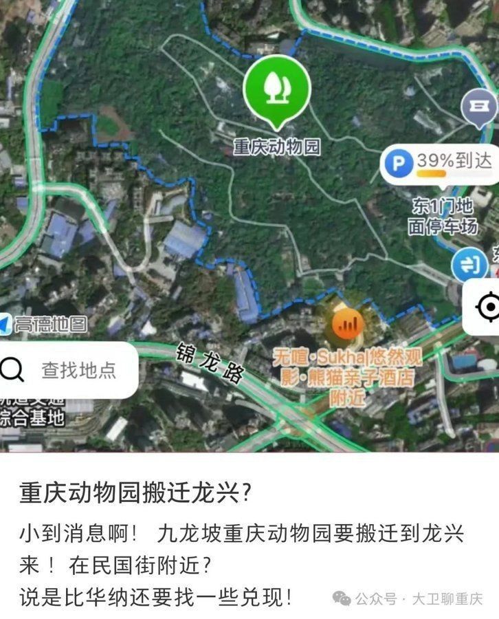 龍興動物園已確定重大項目【龍興動物園確定重大項目或為動物園帶來全新發展契機】 龍興動物園已確定重大項目【龍興動物園確定重大項目或為動物園帶來全新發展契機】 龍魚百科 第4張
