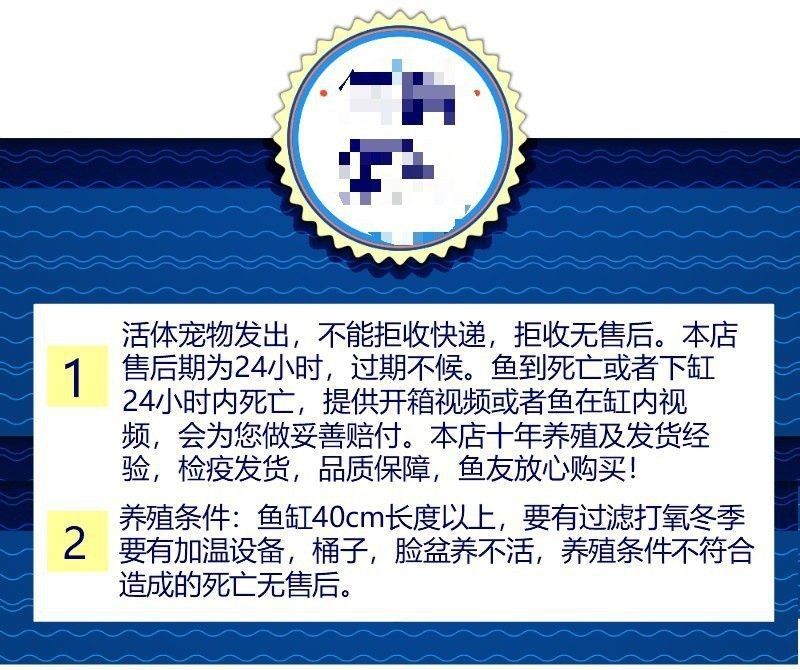 虎紋鯊一般多少元一只【虎紋鯊哪個(gè)品種最貴】