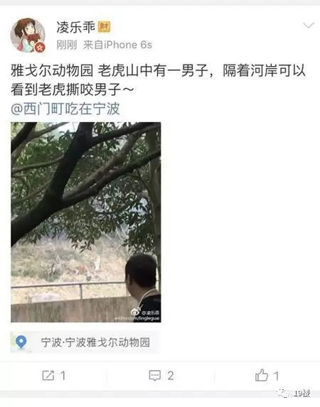 寧波老虎吃人視頻完整【《寧波雅戈爾動物園吃人視頻完整視頻記錄下了回顧與警示》】