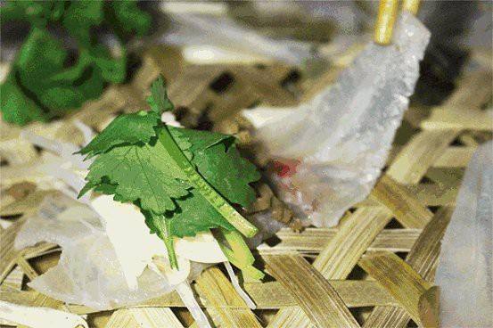 順德金雕魚生有寄生蟲嗎【順德金雕魚生寄生蟲感染肝吸蟲威脅正隨著食客的筷子蔓延】