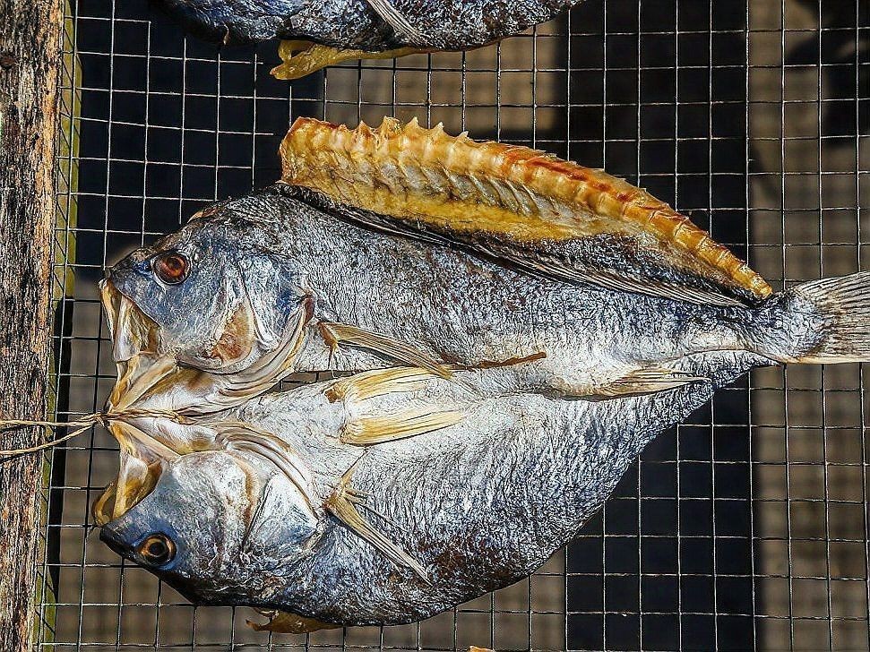 順德金雕魚生有寄生蟲嗎【順德金雕魚生寄生蟲感染肝吸蟲威脅正隨著食客的筷子蔓延】