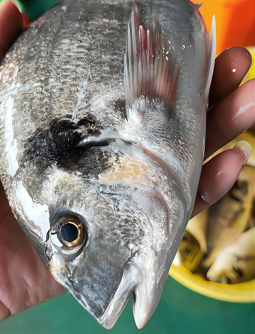 順德金雕魚生有寄生蟲嗎【順德金雕魚生寄生蟲感染肝吸蟲威脅正隨著食客的筷子蔓延】