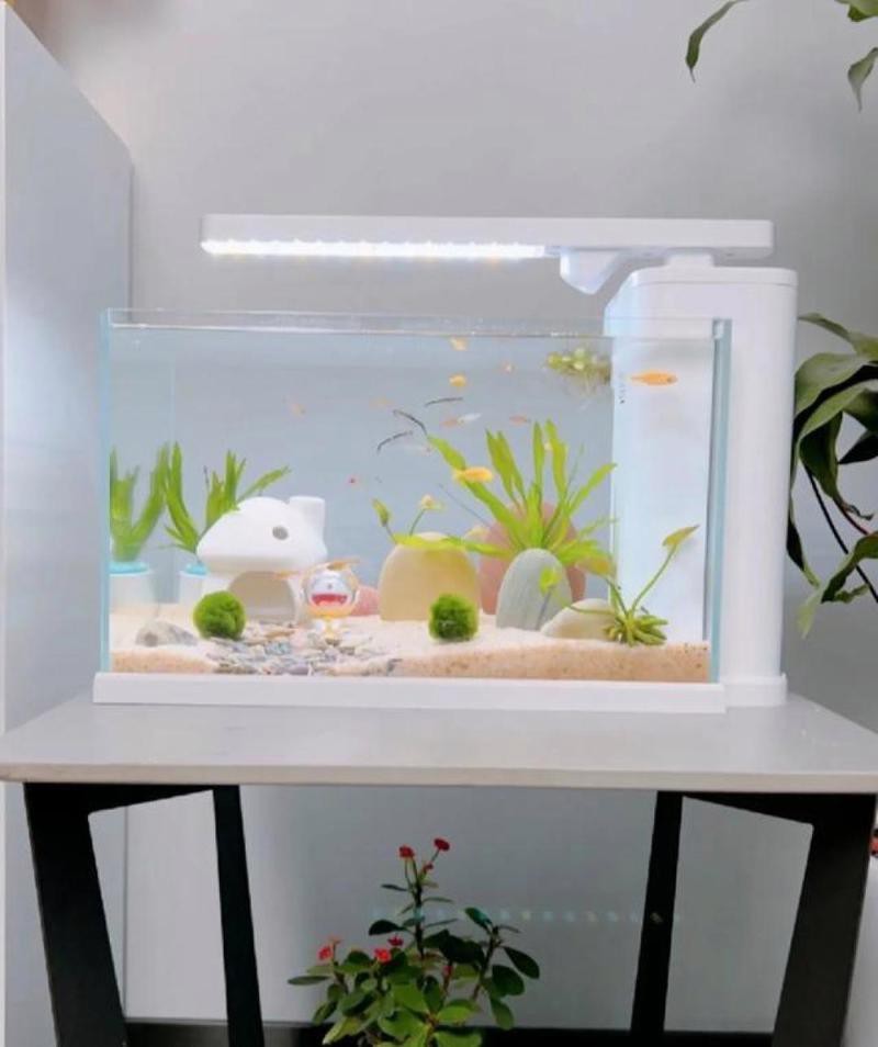 有沒有龍魚缸造景設(shè)計(jì)教程？【《龍魚缸造景設(shè)計(jì)教程》**，龍魚缸造景設(shè)計(jì)教程】