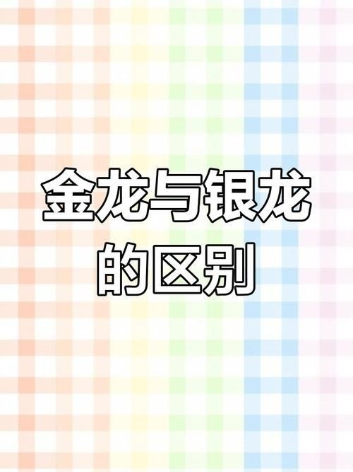 金龍和銀龍的圖片對(duì)比【《金龍和銀龍的圖片對(duì)比》】