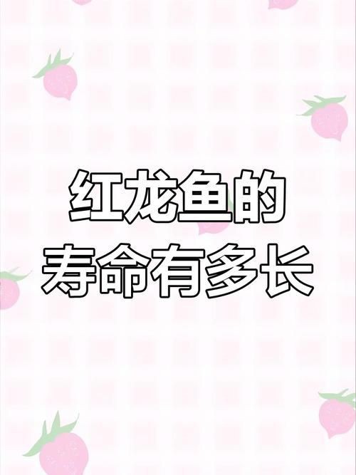金龍和銀龍的圖片對(duì)比【《金龍和銀龍的圖片對(duì)比》】