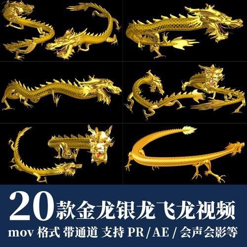 金龍和銀龍的圖片對(duì)比【《金龍和銀龍的圖片對(duì)比》】