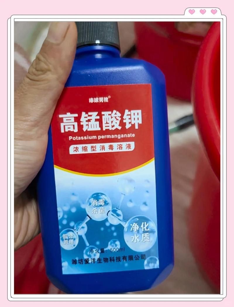 虎魚泡藥多久會變形【虎魚泡藥多久會變形虎魚泡藥后能恢復(fù)嗎】